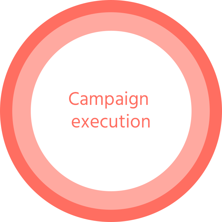 Campaign execution